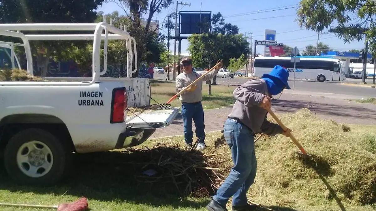 CONTINÚA-MANTENIMIENTO-EN-JARDINES-y-PANTEONES 1 (2)